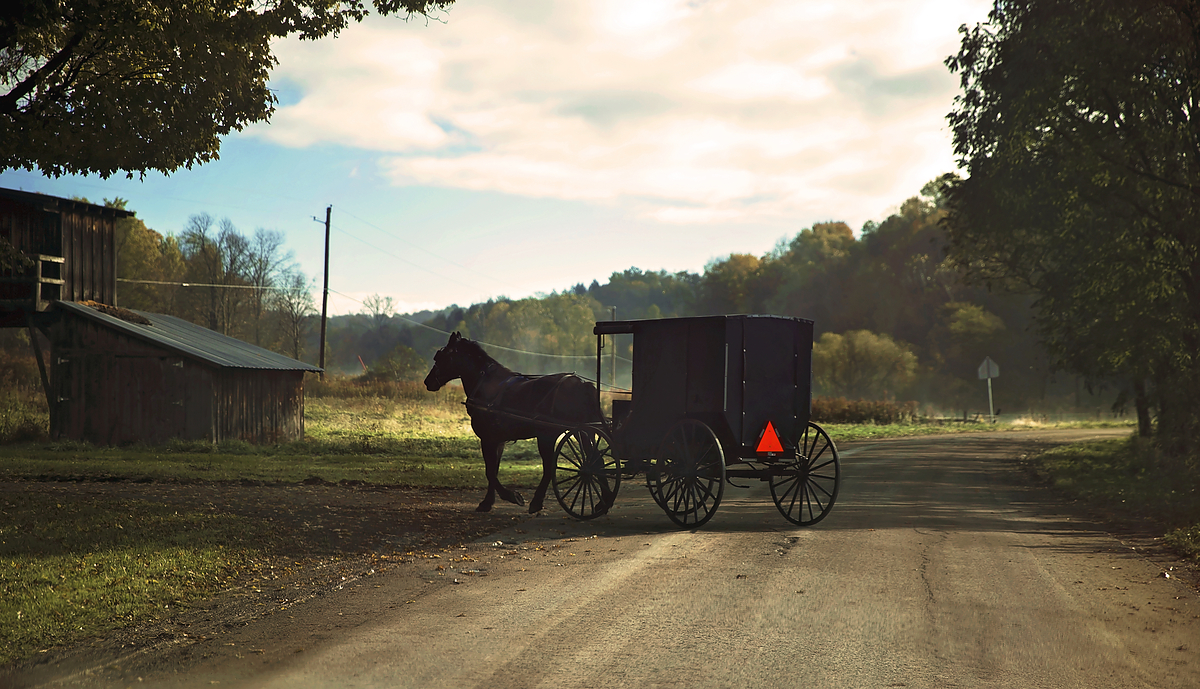 Amish Trail Summer Sights