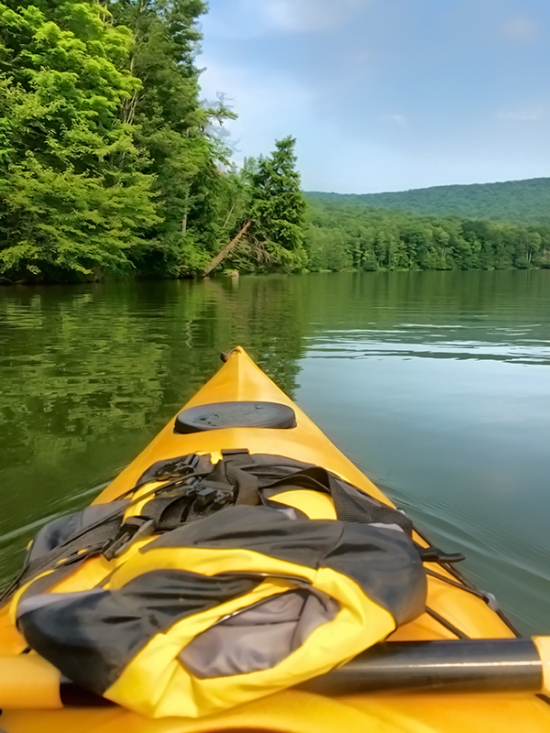 The view while kayaking on Quaker Lake at Allegany State Park in the summer of 2015 by Greg Spako.