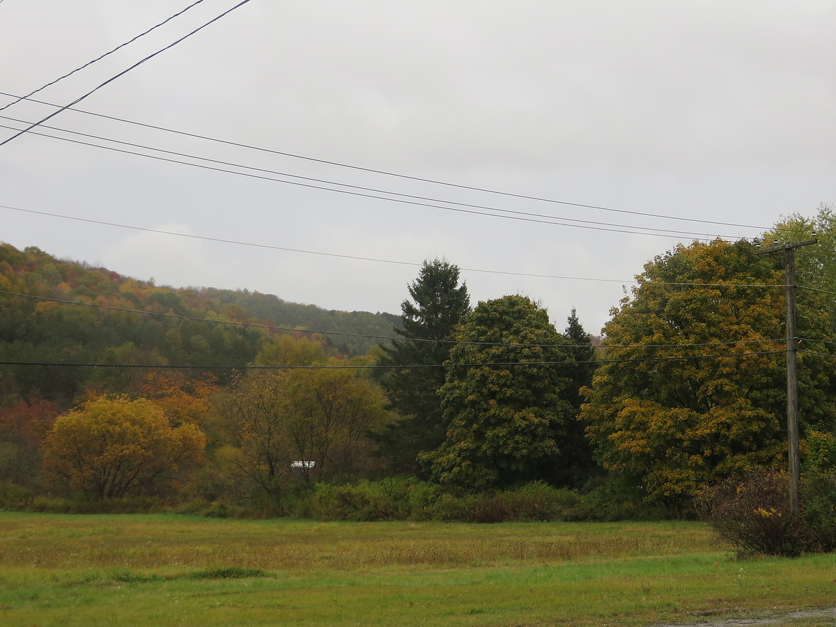 Cattaraugus County Fall Foliage 