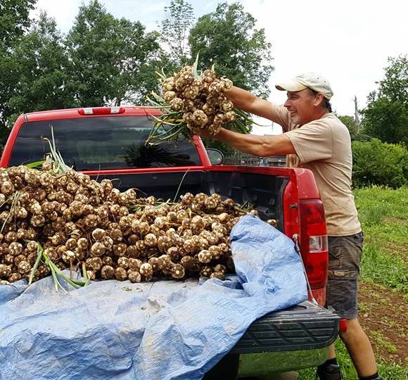 Mark putting garlic in truck