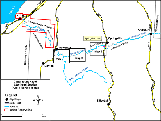 Preview of Cattaraugus Creek Map from NYS DEC