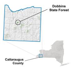 Where Dobbins Memorial Forest is located in Cattaraugus County