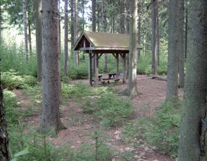 Small Pavilion at Dobbins Memorial State Forest