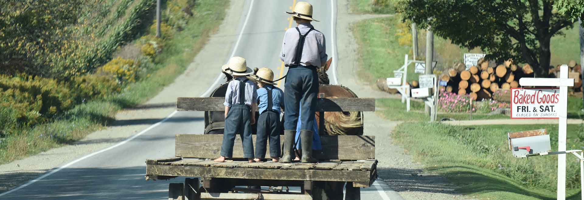 Boys on a wagon along the Amish Trail
